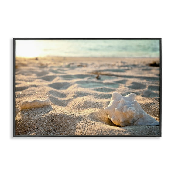 Stupell Industries Conch Shell in Sand Coastal Photography Black Framed Art Print Wall Art, 18 x 12