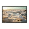 thumbnail image 1 of Stupell Industries Conch Shell in Sand Coastal Photography Black Framed Art Print Wall Art, 30 x 20, 1 of 10