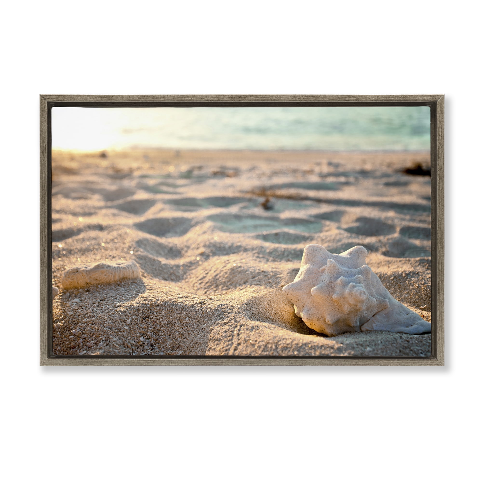 Stupell Industries Conch Shell in Sand Coastal Photography Brown Floater Framed Canvas Art Print Wall Art, 31 x 21