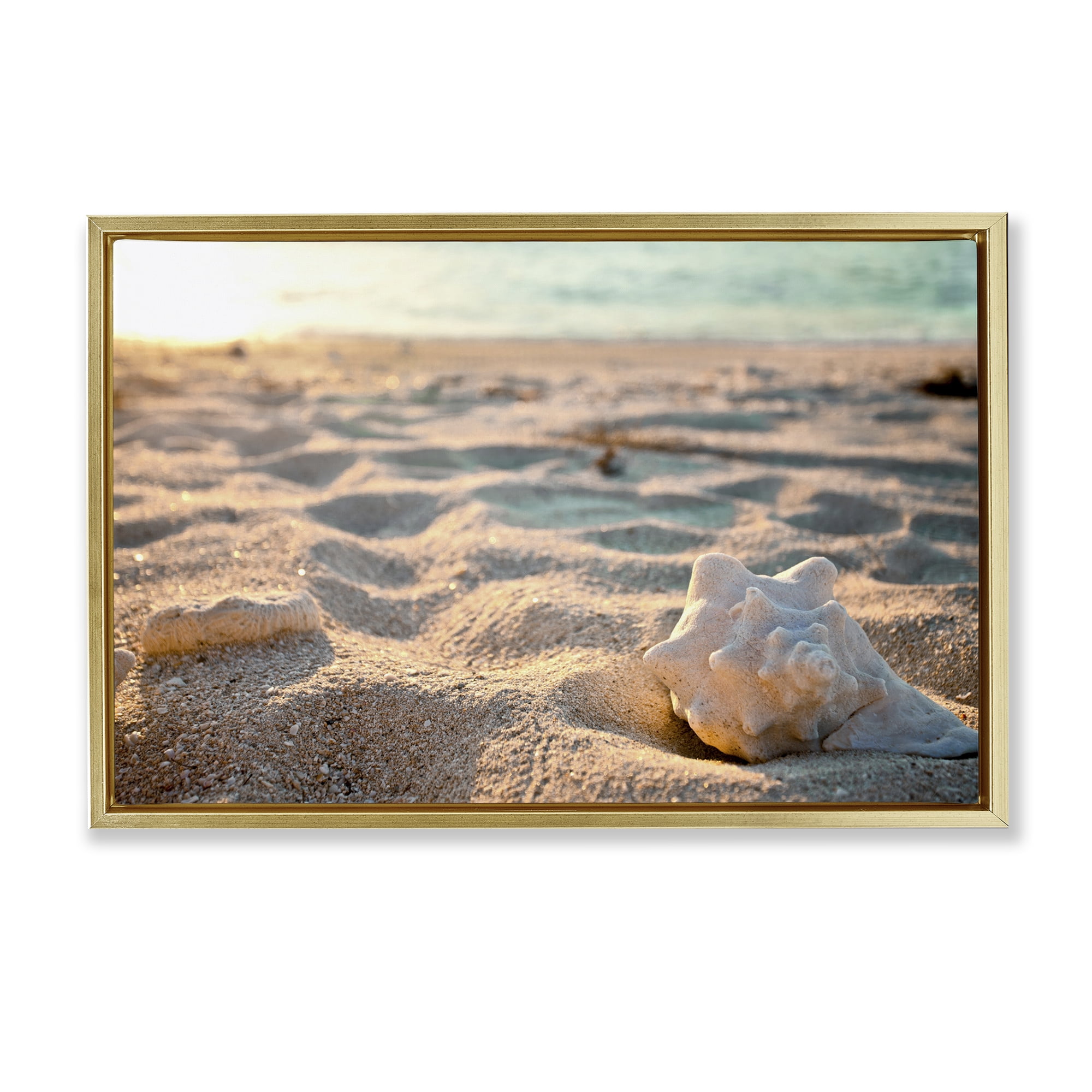 Stupell Industries Conch Shell in Sand Coastal Photography Gold Floater Framed Canvas Art Print Wall Art, 25 x 17