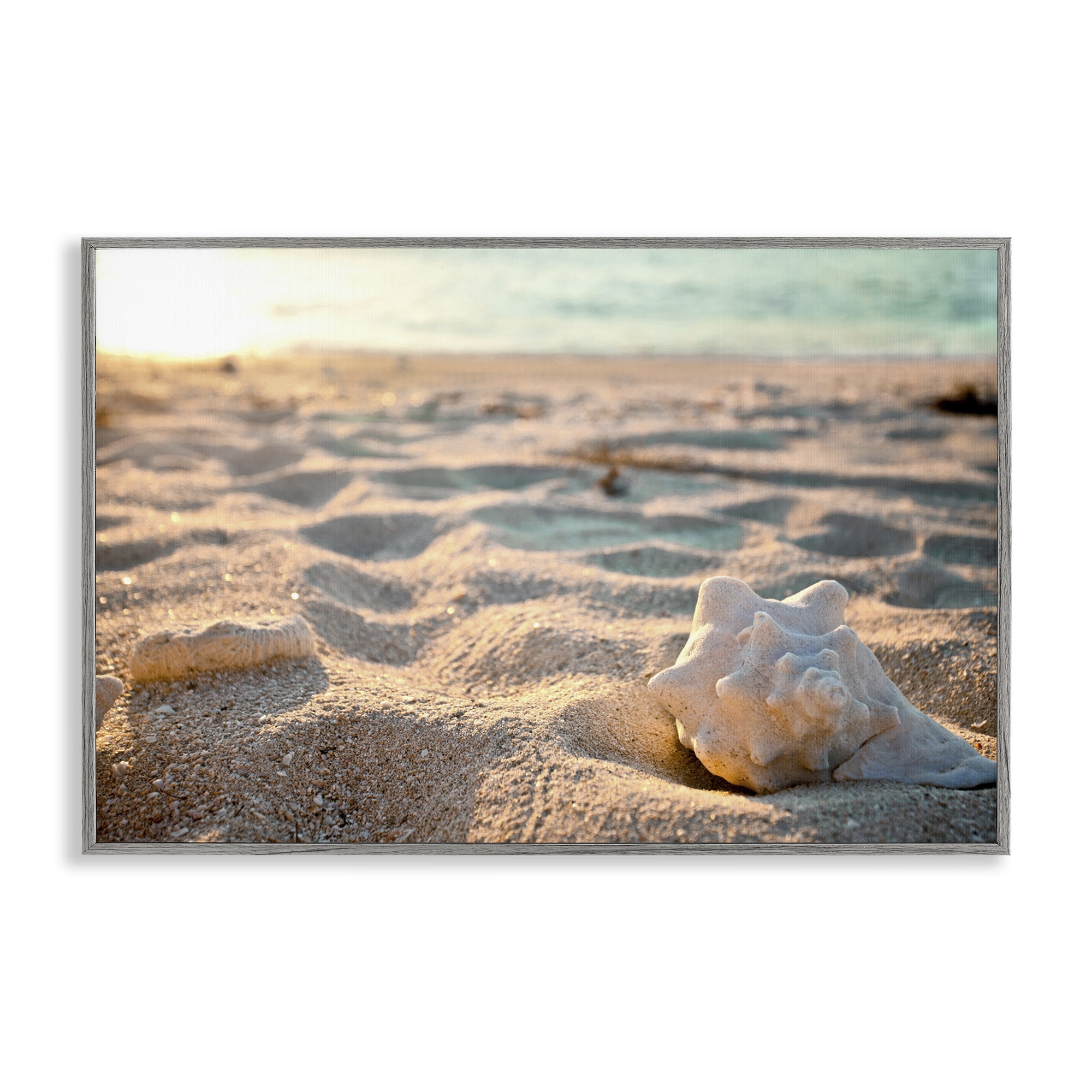 Stupell Industries Conch Shell in Sand Coastal Photography Gray Framed Art Print Wall Art, 18 x 12