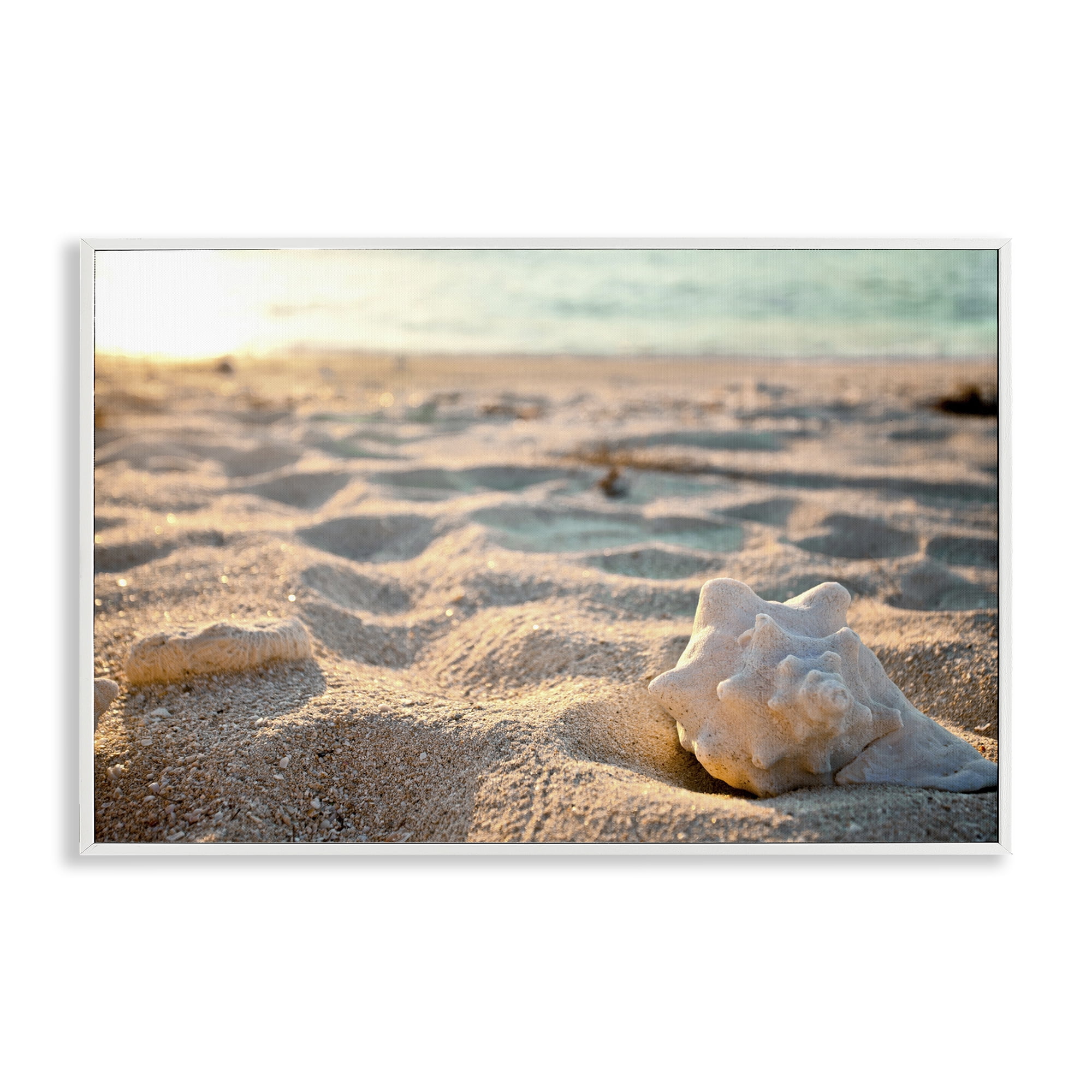 Stupell Industries Conch Shell in Sand Coastal Photography White Framed Art Print Wall Art, 30 x 20