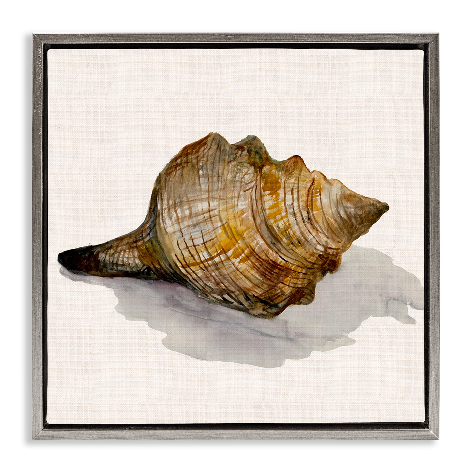 Stupell Industries Conch Shell on Beige Nautical & Beach Painting Gray Floater Framed Canvas Art Print Wall Art, 18 x 18