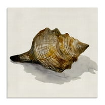 Stupell Industries Conch Shell on Beige Nautical & Beach Painting Wrapped Canvas Art Print Wall Art, 17 x 17