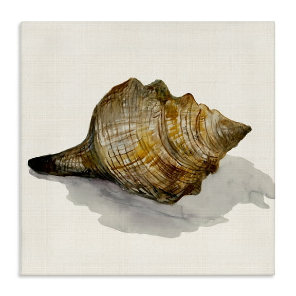 Stupell Industries Conch Shell on Beige Nautical & Beach Painting Wrapped Canvas Art Print Wall Art, 17 x 17