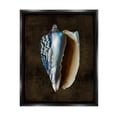 thumbnail image 1 of Stupell Industries Conch Shell on Black Nature Painting Black Floater Framed Art Print Wall Art, 17 x 21, 1 of 10