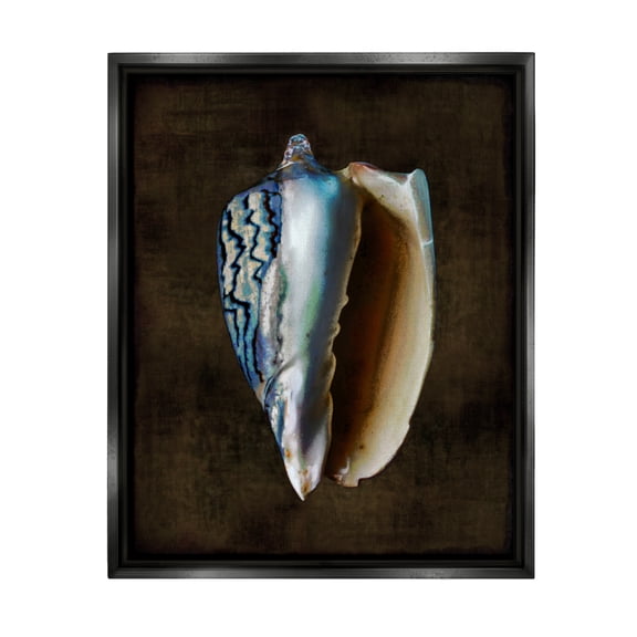 Stupell Industries Conch Shell on Black Nature Painting Black Floater Framed Art Print Wall Art, 17 x 21