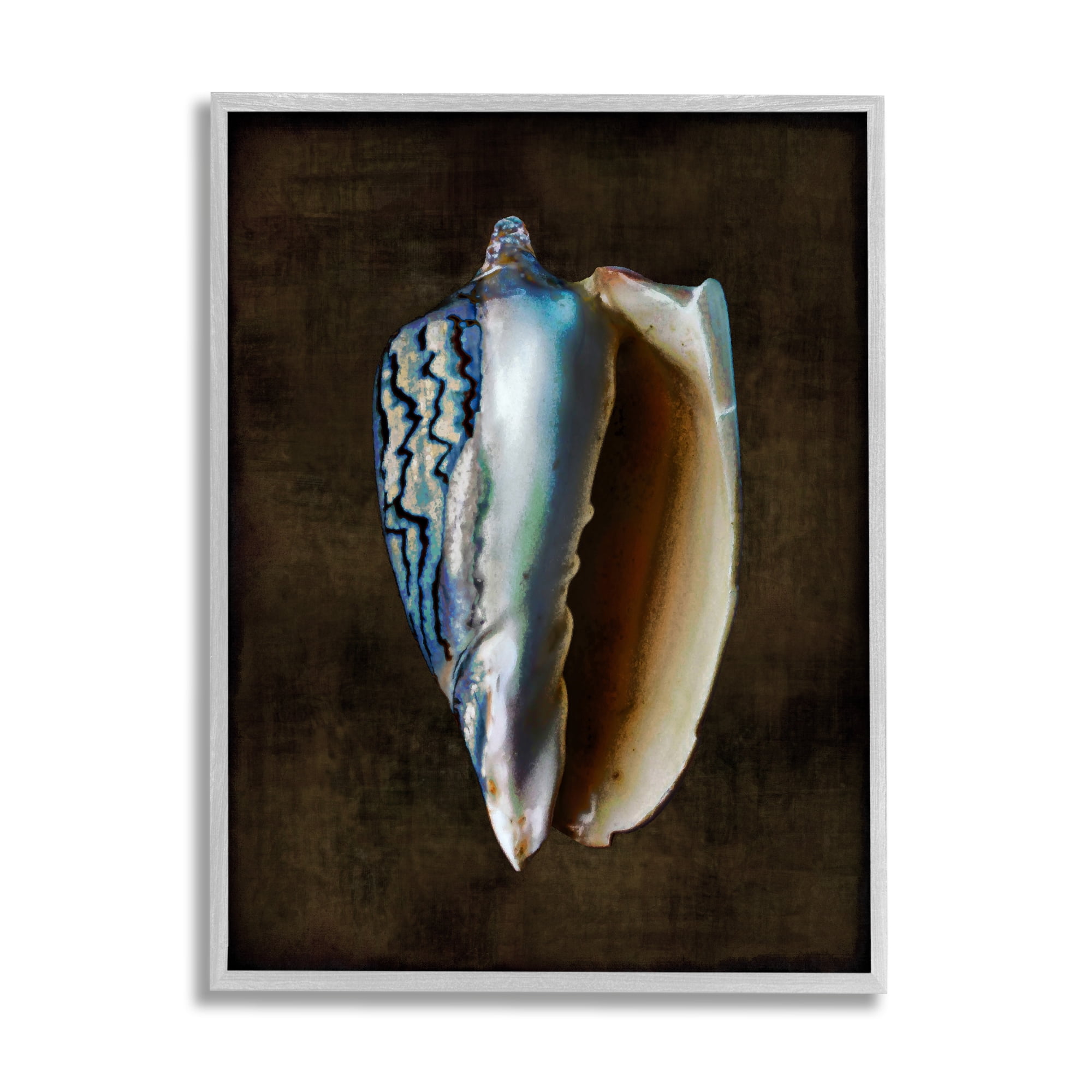 Stupell Industries Conch Shell on Black Nature Painting Gray Framed Art Print Wall Art, 24 x 30