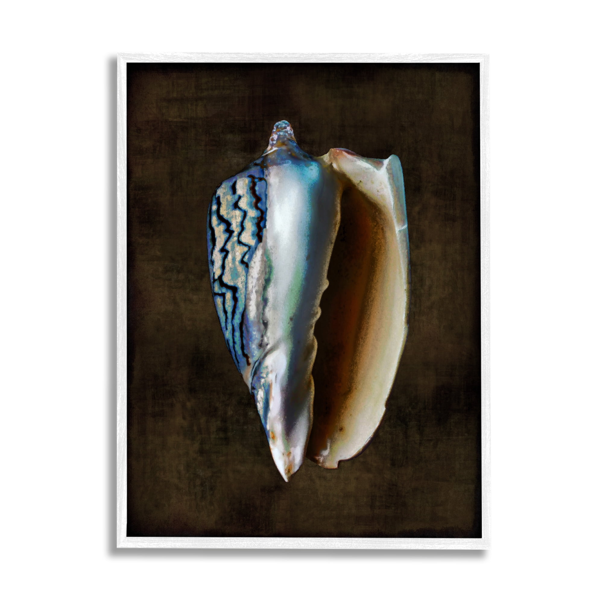 Stupell Industries Conch Shell on Black Nature Painting White Framed Art Print Wall Art, 11 x 14