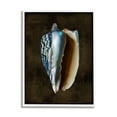 thumbnail image 1 of Stupell Industries Conch Shell on Black Nature Painting White Framed Art Print Wall Art, 24 x 30, 1 of 9