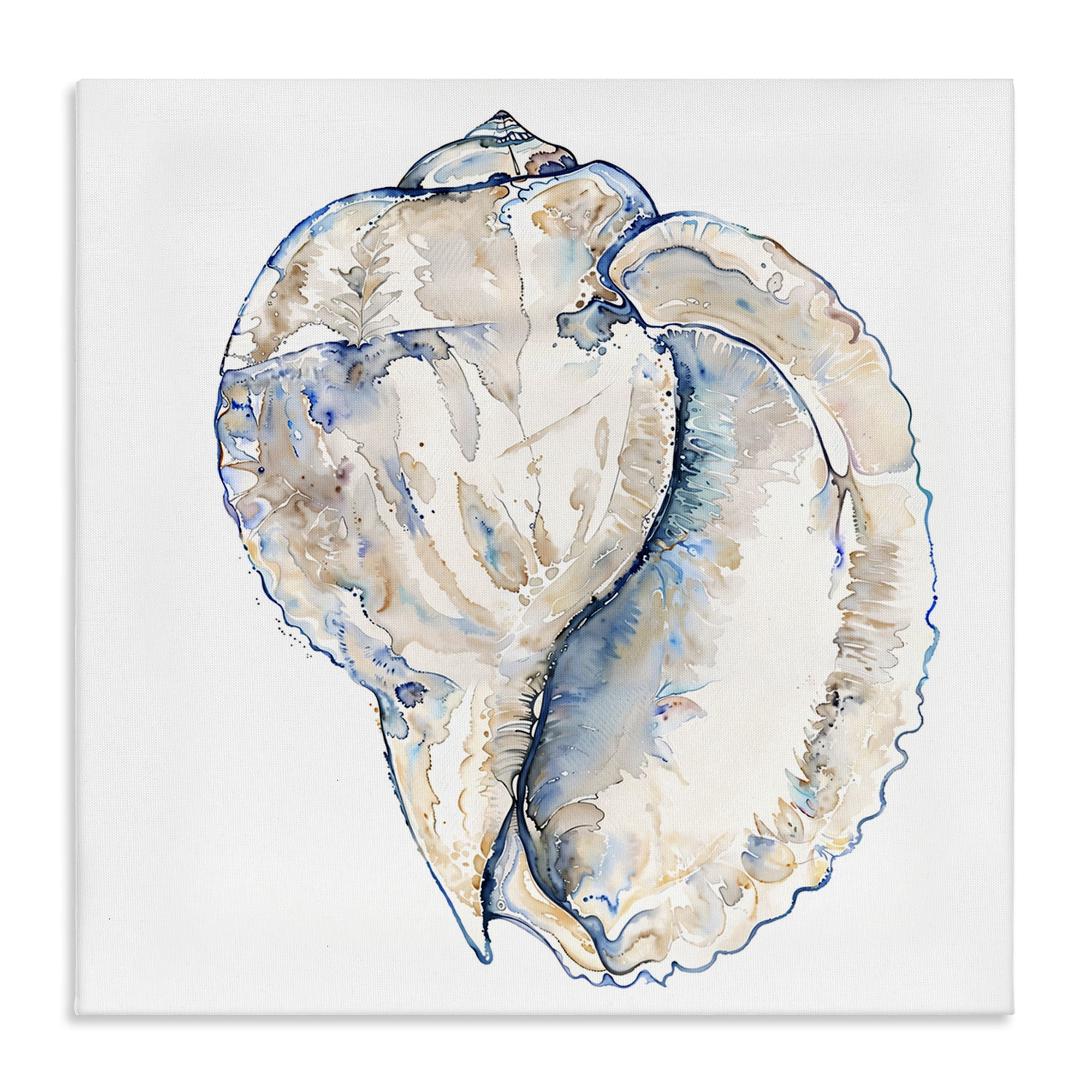 Stupell Industries Conch Shell on White Coastal Painting Gallery Wrapped Canvas Art Print Wall Art, 30 x 30