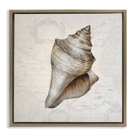 Stupell Industries Conch Shell over Vintage Map Animals Painting Brown Floater Framed Canvas Art Print Wall Art, 18 x 18