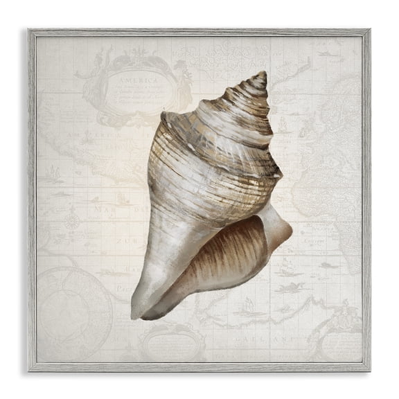 Stupell Industries Conch Shell over Vintage Map Animals Painting Gray Framed Art Print Wall Art, 12 x 12