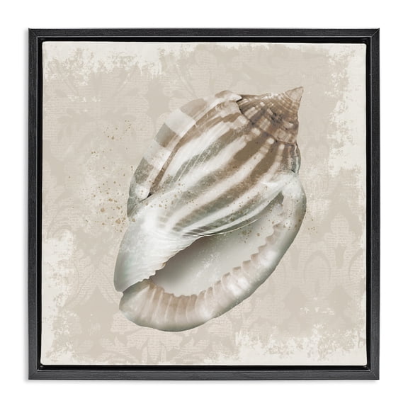 Stupell Industries Conch Shell over Vintage Pattern Black Framed Floater Canvas Wall Art design by Conrad Knutsen, 18 x 18