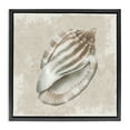 thumbnail image 1 of Stupell Industries Conch Shell over Vintage Pattern Black Framed Floater Canvas Wall Art design by Conrad Knutsen, 25 x 25, 1 of 9