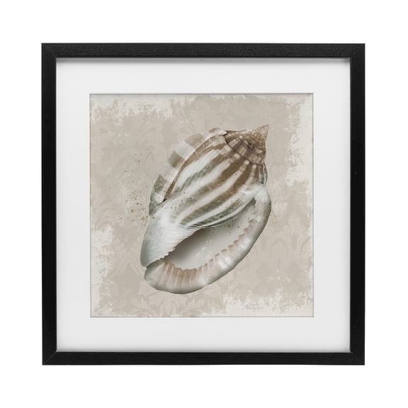 Stupell Industries Conch Shell over Vintage Pattern Black Framed Print Under Glass design by Conrad Knutsen, 13 x 13