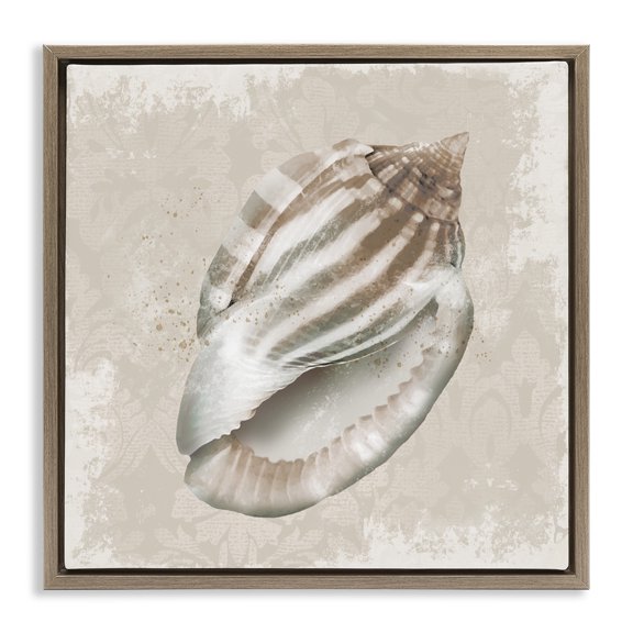 Stupell Industries Conch Shell over Vintage Pattern Brown Framed Floater Canvas Wall Art design by Conrad Knutsen, 18 x 18