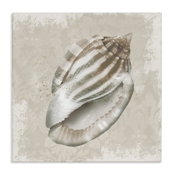 Stupell Industries Conch Shell over Vintage Pattern Canvas Wall Art design by Conrad Knutsen, 24 x 24