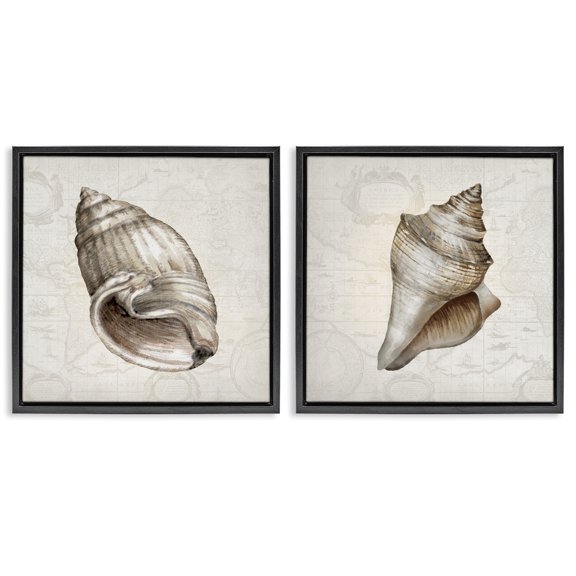 Stupell Industries Conch Shells over Vintage Maps Animals Painting Black Floater Framed Canvas Art Print Wall Art, 25 x 25, Set of 2