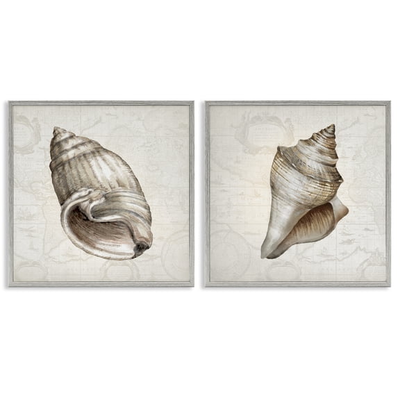 Stupell Industries Conch Shells over Vintage Maps Animals Painting Gray Framed Art Print Wall Art, 12 x 12, Set of 2