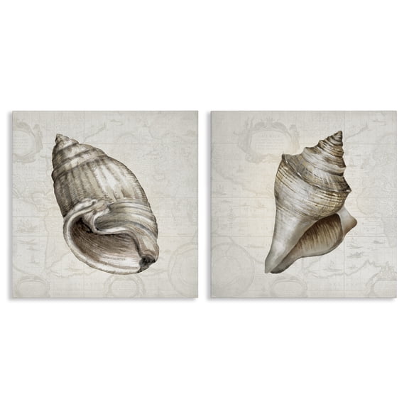 Stupell Industries Conch Shells over Vintage Maps Animals Painting Wrapped Canvas Canvas Art Print Wall Art, 17 x 17, Set of 2