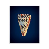 Stupell Industries Cone Shell on Blue Nautical & Beach Painting Unframed Art Print Wall Art, 11 x 14