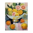 thumbnail image 1 of Stupell Industries Contemporary Abstract Citrus Still Life Canvas Art, 16 x 20, by LSR Design Studio, 1 of 8