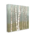 thumbnail image 1 of Stupell Industries Contemporary Birch Tree Bark Soft Green Forest Landscape Nature Painting Gallery Wrapped Canvas Print Wall Art, 30 x 30, 1 of 6