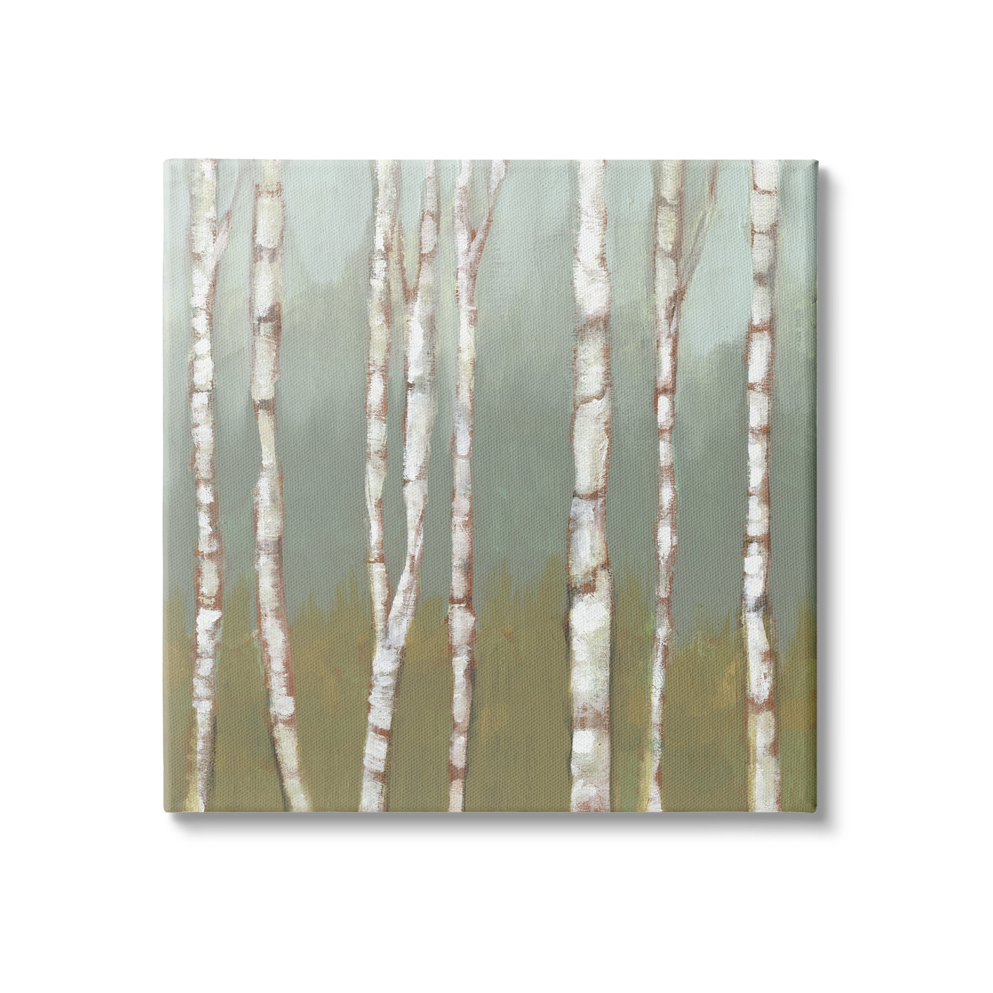 Contemporary Birch Tree Forest Canvas Print, 24" x 24", Green and White