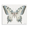 thumbnail image 1 of Stupell Industries Contemporary Blue Brown Accent Butterfly Canvas Art, 30 x 24, by Danhui Nai, 1 of 7