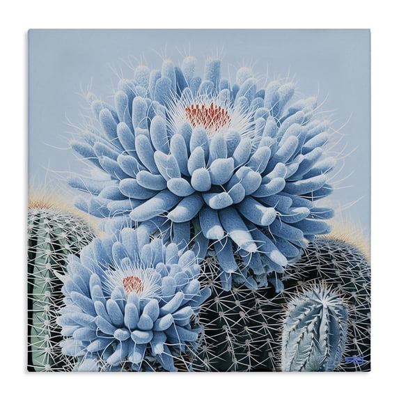Stupell Industries Contemporary Blue Cactus Botanicals Canvas Art, 17 x 17, by RB