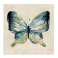 thumbnail image 1 of Stupell Industries Contemporary Bold Butterfly in Green Canvas Art, 17 x 17, by Carol Robinson, 1 of 7