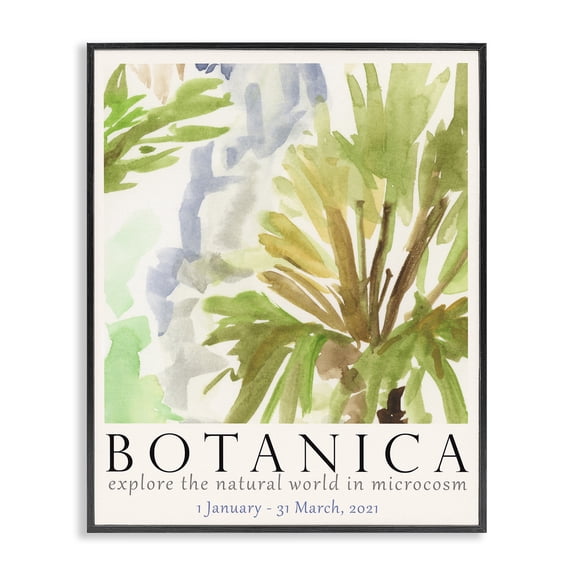 Stupell Industries Contemporary Botanica Museum Poster Black Framed Giclee Art, 11 x 14, by June Erica Vess
