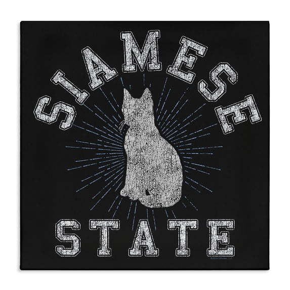Stupell Industries Contemporary Canvas Art, 30 x 30, by Spirit Animals/Life Is High