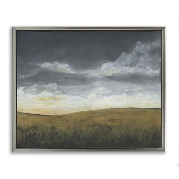 Stupell Industries Contemporary Clouds over Stormy Meadow Gray Floating Frame Canvas Art, 21 x 17, by Michael Willett