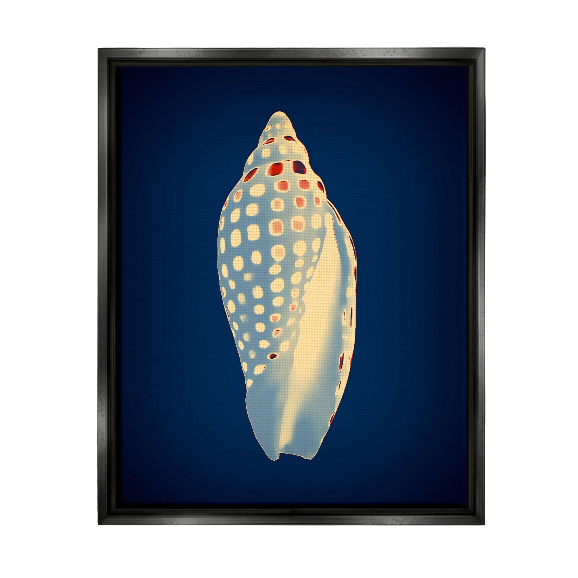 Stupell Industries Contemporary Conch Shell Animals & Insects Painting Black Floater Framed Art Print Wall Art, 17 x 21