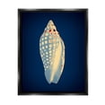 thumbnail image 1 of Stupell Industries Contemporary Conch Shell Animals & Insects Painting Black Floater Framed Art Print Wall Art, 25 x 31, 1 of 9