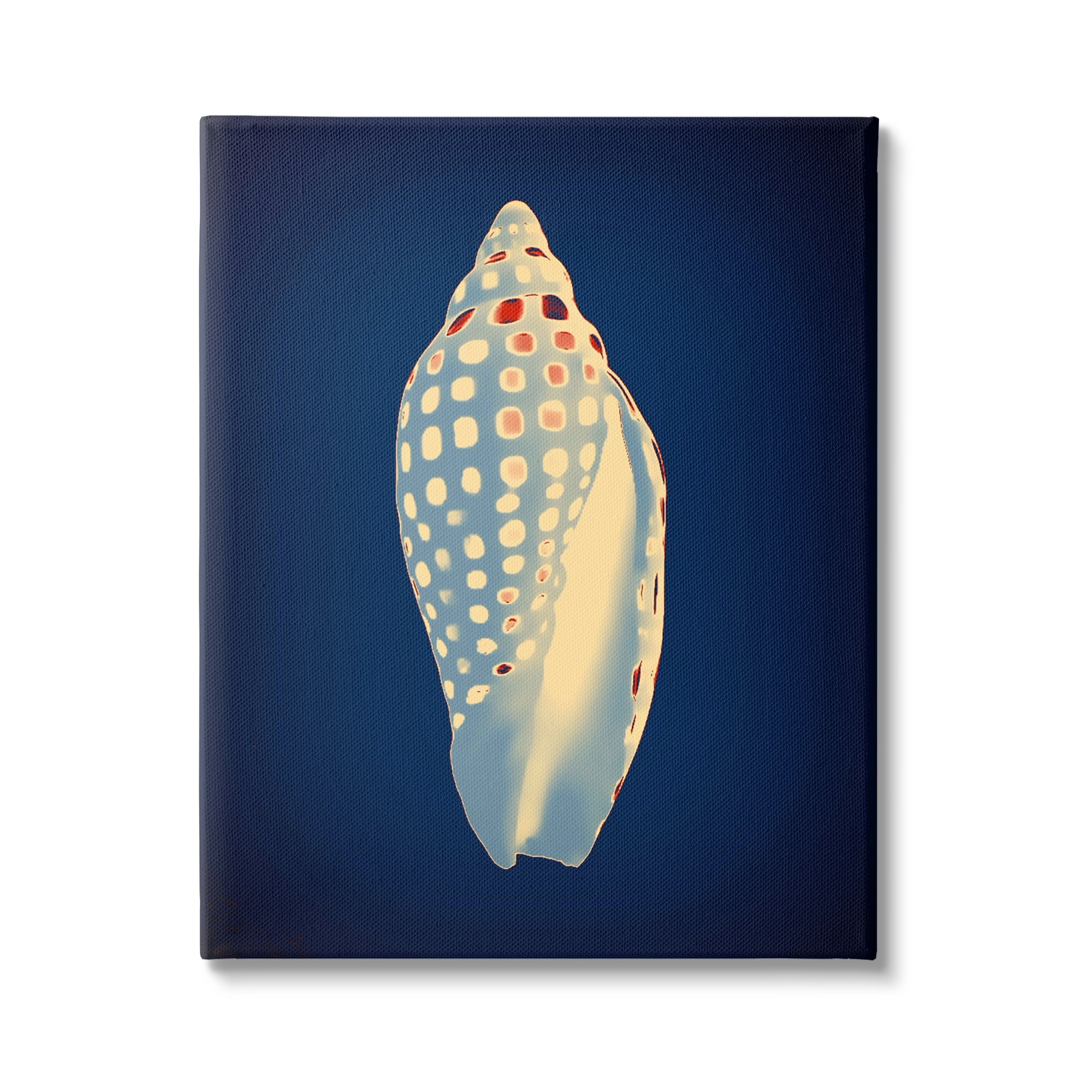 Stupell Industries Contemporary Conch Shell Animals & Insects Painting Gallery Wrapped Canvas Print Wall Art, 24 x 30