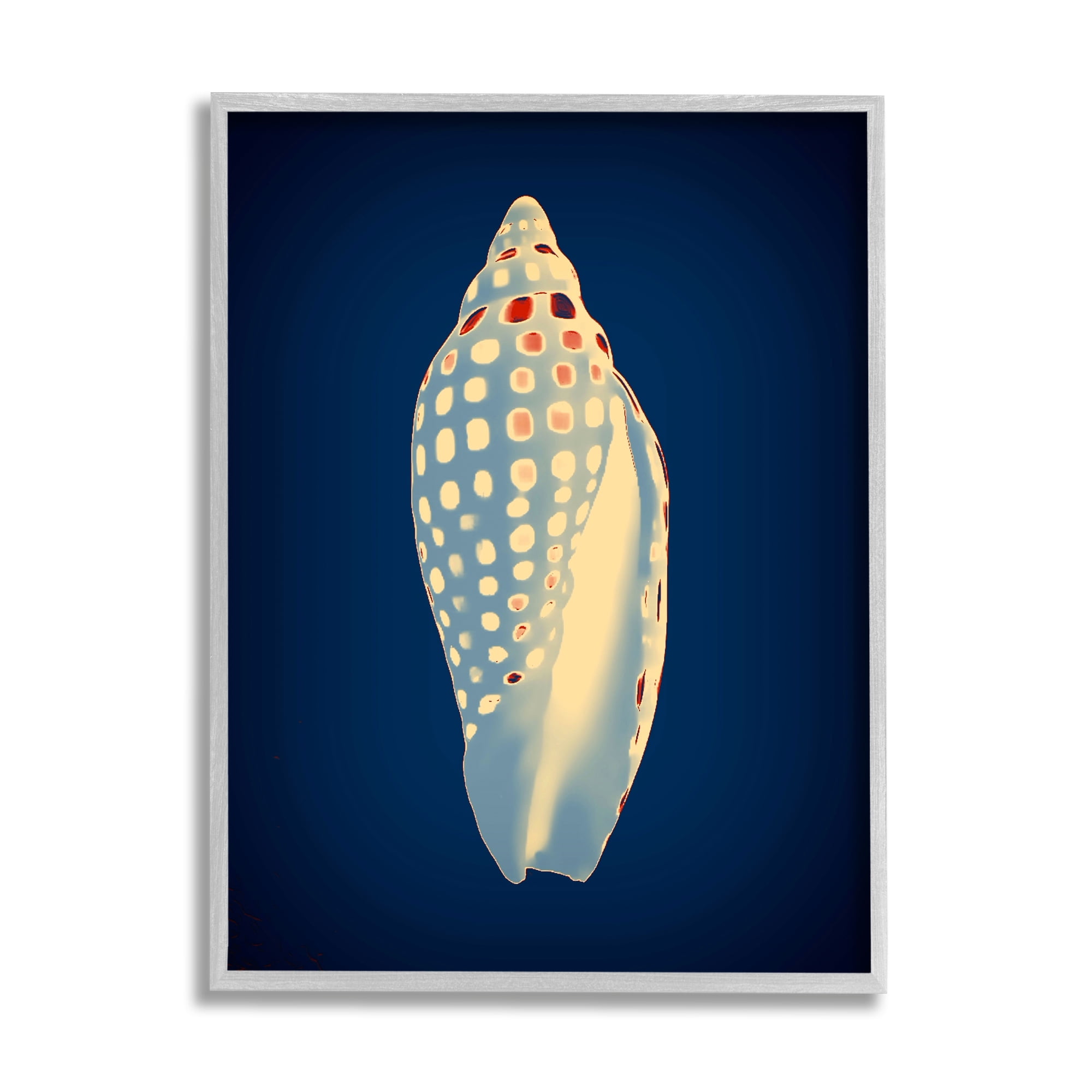 Stupell Industries Contemporary Conch Shell Animals & Insects Painting Gray Framed Art Print Wall Art, 11 x 14