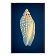 thumbnail image 1 of Stupell Industries Contemporary Conch Shell Animals & Insects Painting Unframed Art Print Wall Art, 10 x 15, 1 of 6