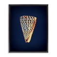 thumbnail image 1 of Stupell Industries Contemporary Cone Shell on Blue Black Floating Frame Canvas Art, 17 x 21, by Graffitee Studios, 1 of 8