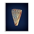 thumbnail image 1 of Stupell Industries Contemporary Cone Shell on Blue White Framed Giclee Art, 11 x 14, by Graffitee Studios, 1 of 8