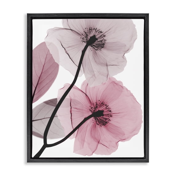 Stupell Industries Contemporary Contemporary Pink Poppies Black Floating Frame Canvas Art, 25 x 31, by Albert Koetsier