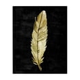 thumbnail image 1 of Stupell Industries Contemporary Curved Feather on Black Canvas Art, 24 x 30, by Kim Allen, 1 of 8