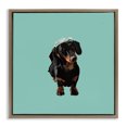 thumbnail image 1 of Stupell Industries Contemporary Dachshund Wearing Tiara Brown Floating Frame Canvas Art, 18 x 18, by Amelia Noyes, 1 of 7