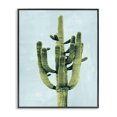 thumbnail image 1 of Stupell Industries Contemporary Desert Cactus over Pastel Blue Black Framed Giclee Art, 11 x 14, by Mia Jensen, 1 of 7