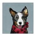 thumbnail image 1 of Stupell Industries Contemporary Dog with Paw Bandana Canvas Art, 36 x 36, by Sally Swatland, 1 of 7