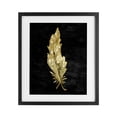 thumbnail image 1 of Stupell Industries Contemporary Feather On Black Black Framed Print Under Glass, 13 x 16, by Kim Allen, 1 of 8