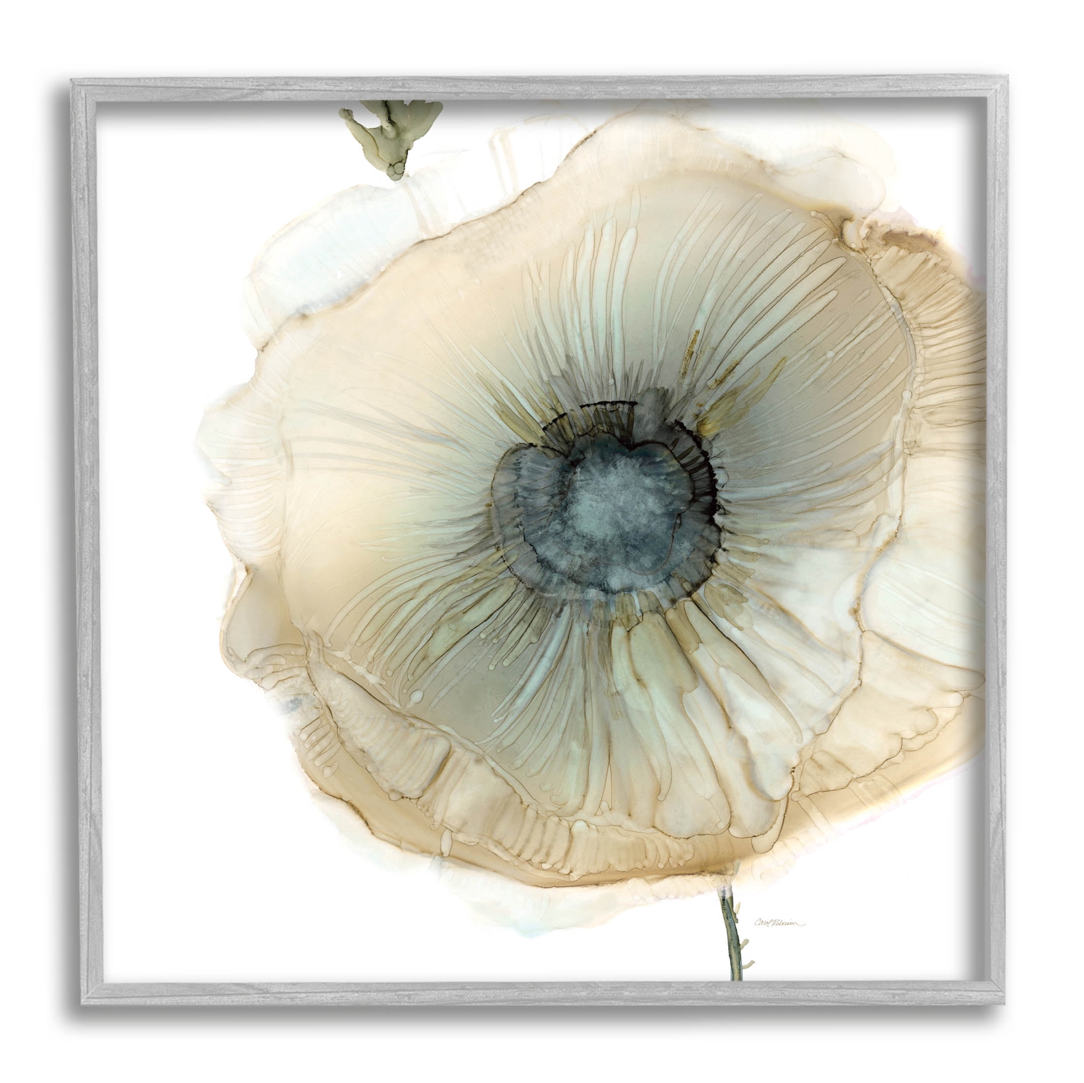 Stupell Industries Contemporary Flower Petal Poppy Blossom Graphic Art Gray Framed Art Print Wall Art, Design by Carol Robinson