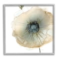 thumbnail image 1 of Stupell Industries Contemporary Flower Petal Poppy Blossom Graphic Art Gray Framed Art Print Wall Art, Design by Carol Robinson, 1 of 7